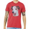 Unisex Triblend Tee (same day) Thumbnail