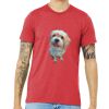 Unisex Triblend Tee (same day) Thumbnail