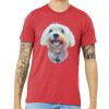 Unisex Triblend Tee (same day) Thumbnail
