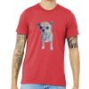 Unisex Triblend Tee (same day) Thumbnail