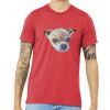 Unisex Triblend Tee (same day) Thumbnail