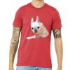 Unisex Triblend Tee (same day) Thumbnail
