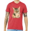 Unisex Triblend Tee (same day) Thumbnail