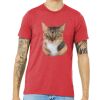 Unisex Triblend Tee (same day) Thumbnail