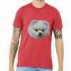 Unisex Triblend Tee (same day) Thumbnail