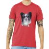 Unisex Triblend Tee (same day) Thumbnail