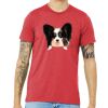 Unisex Triblend Tee (same day) Thumbnail