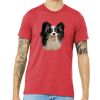 Unisex Triblend Tee (same day) Thumbnail