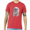 Unisex Triblend Tee (same day) Thumbnail