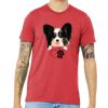 Unisex Triblend Tee (same day) Thumbnail