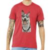 Unisex Triblend Tee (same day) Thumbnail