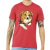 Unisex Triblend Tee (same day) Thumbnail