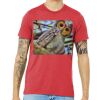 Unisex Triblend Tee (same day) Thumbnail
