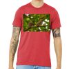 Unisex Triblend Tee (same day) Thumbnail