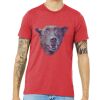 Unisex Triblend Tee (same day) Thumbnail