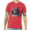Unisex Triblend Tee (same day) Thumbnail