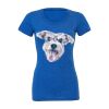 Women's Triblend Tee (same day) Thumbnail