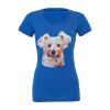Women's Triblend Tee (same day) Thumbnail