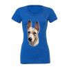 Women's Triblend Tee (same day) Thumbnail