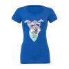 Women's Triblend Tee (same day) Thumbnail