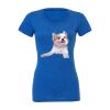 Women's Triblend Tee (same day) Thumbnail