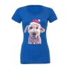 Women's Triblend Tee (same day) Thumbnail