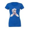 Women's Triblend Tee (same day) Thumbnail