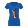 Women's Triblend Tee (same day) Thumbnail