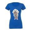 Women's Triblend Tee (same day) Thumbnail