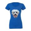 Women's Triblend Tee (same day) Thumbnail