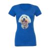 Women's Triblend Tee (same day) Thumbnail