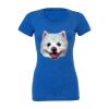 Women's Triblend Tee (same day) Thumbnail