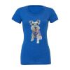 Women's Triblend Tee (same day) Thumbnail
