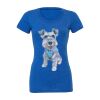 Women's Triblend Tee (same day) Thumbnail