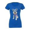 Women's Triblend Tee (same day) Thumbnail