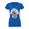 Women's Triblend Tee (same day) Thumbnail