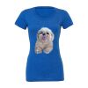 Women's Triblend Tee (same day) Thumbnail