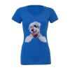 Women's Triblend Tee (same day) Thumbnail