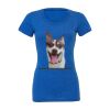 Women's Triblend Tee (same day) Thumbnail