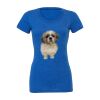 Women's Triblend Tee (same day) Thumbnail