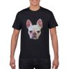 Gildan Softstyle Tee Thumbnail