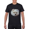 Gildan Softstyle Tee Thumbnail