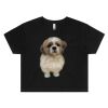 WO'S CROP TEE (same day) Thumbnail